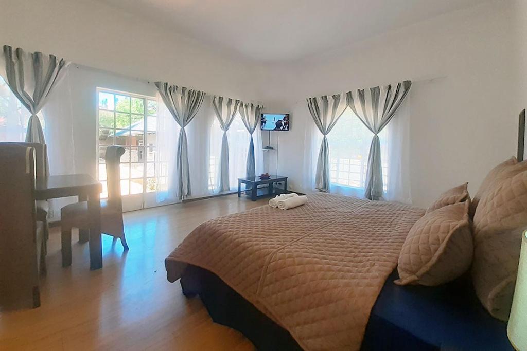 פרטוריה Queens Palace מראה חיצוני תמונה